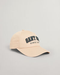 USA Graphic cap
