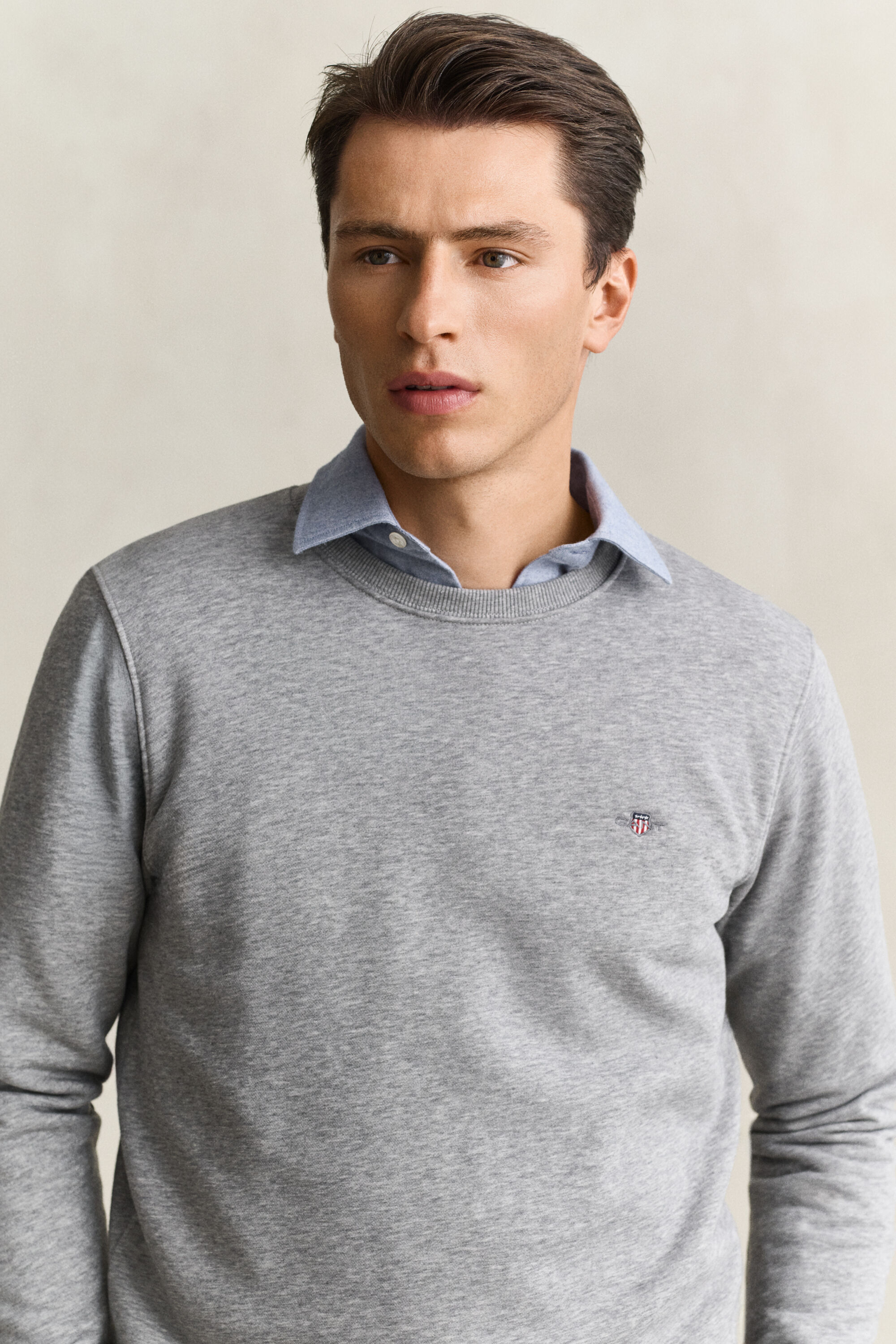 Shield sweatshirt med crewneck