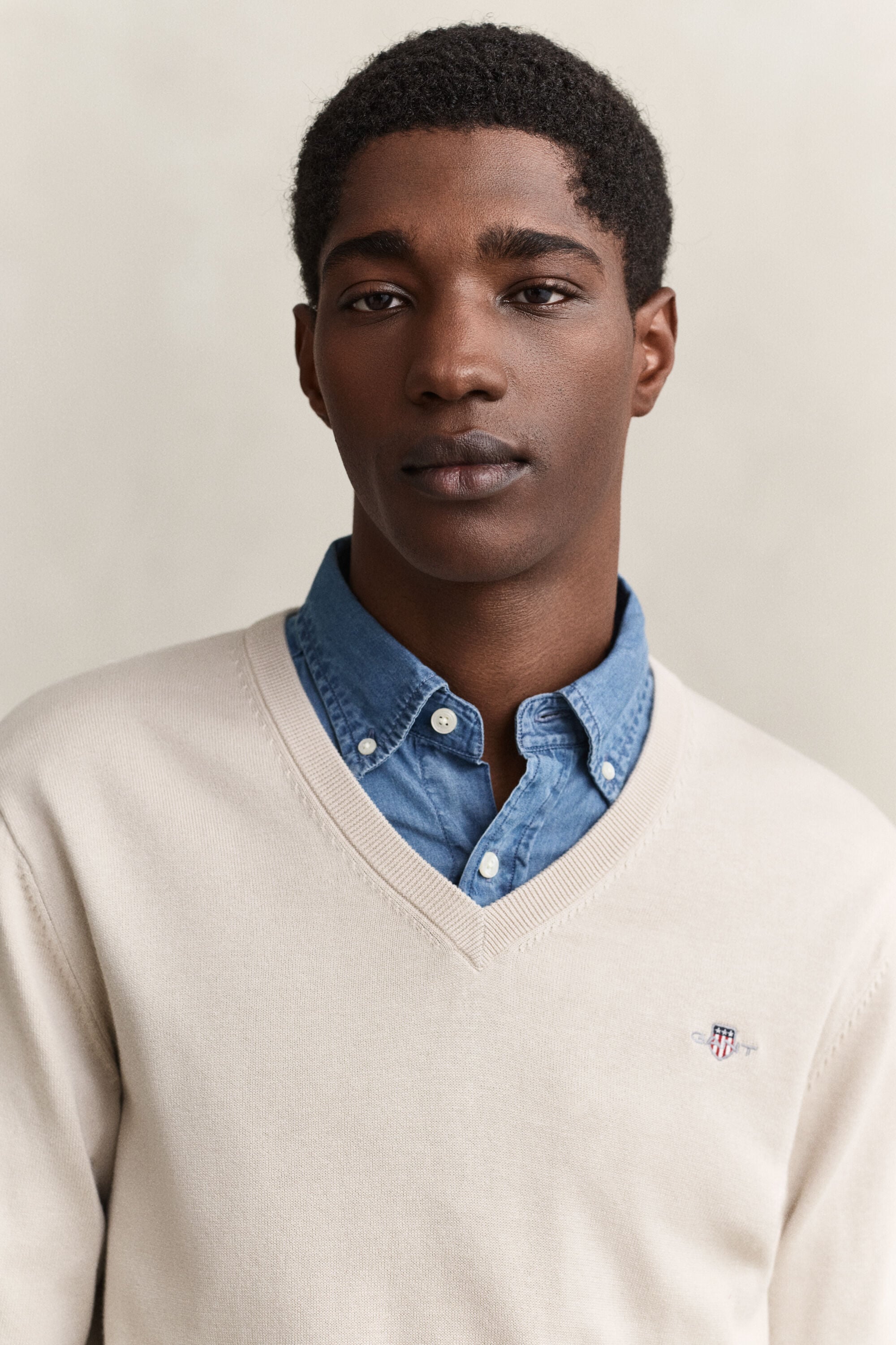 Klassiske sweater i bomuld med V-hals