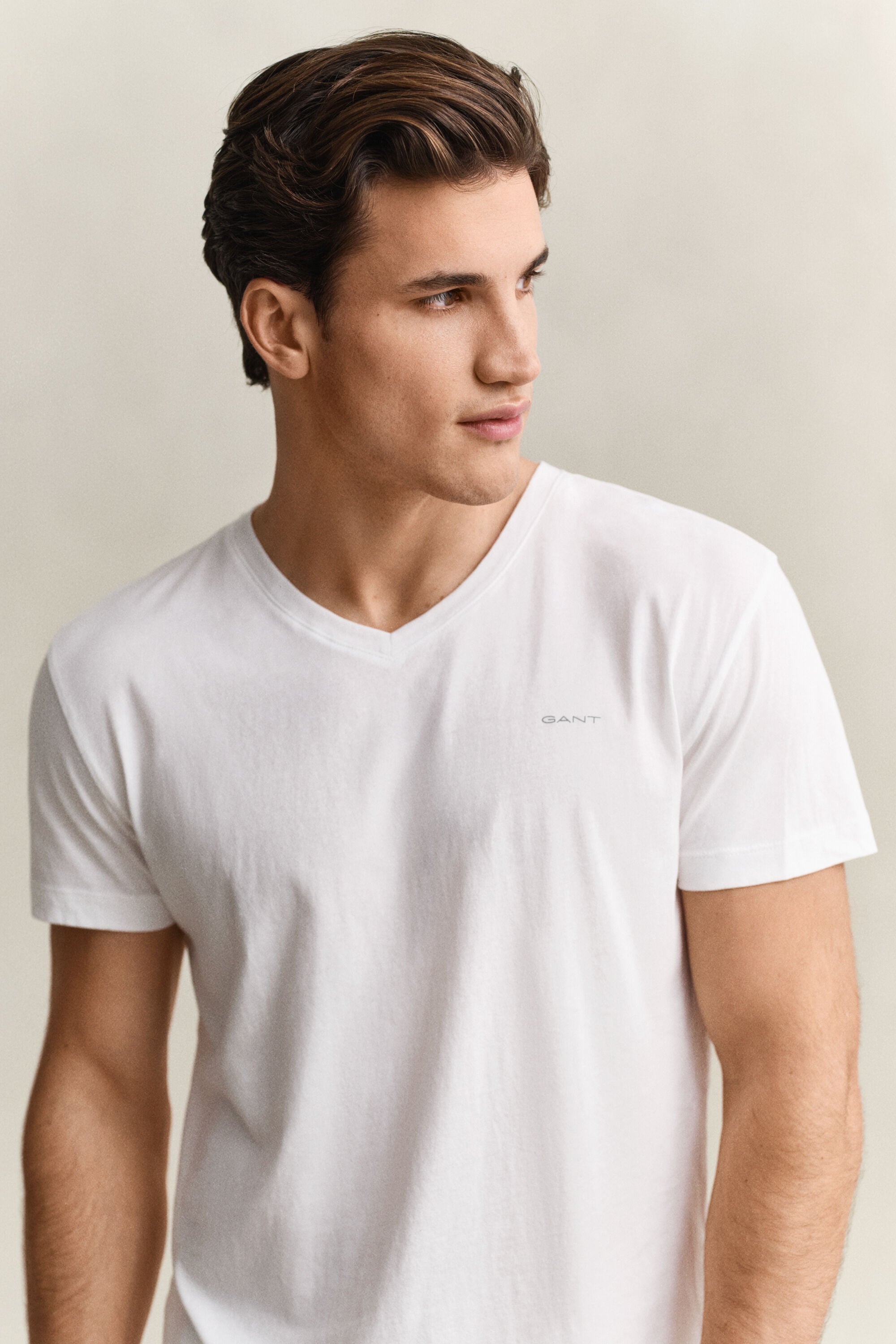 2-Pack T-shirts med V-hals