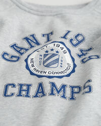 Teens Graphic sweatshirt med crewneck