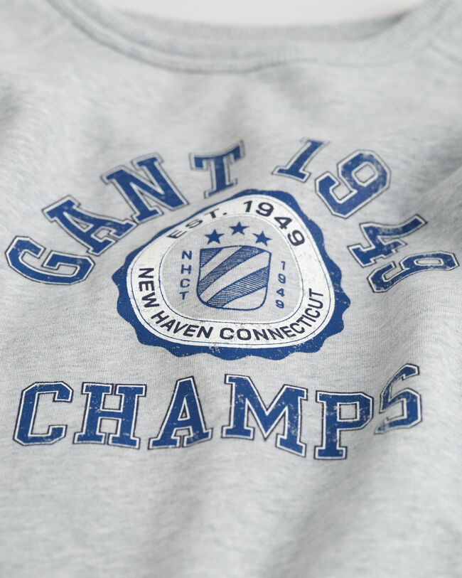 Teens Graphic sweatshirt med crewneck