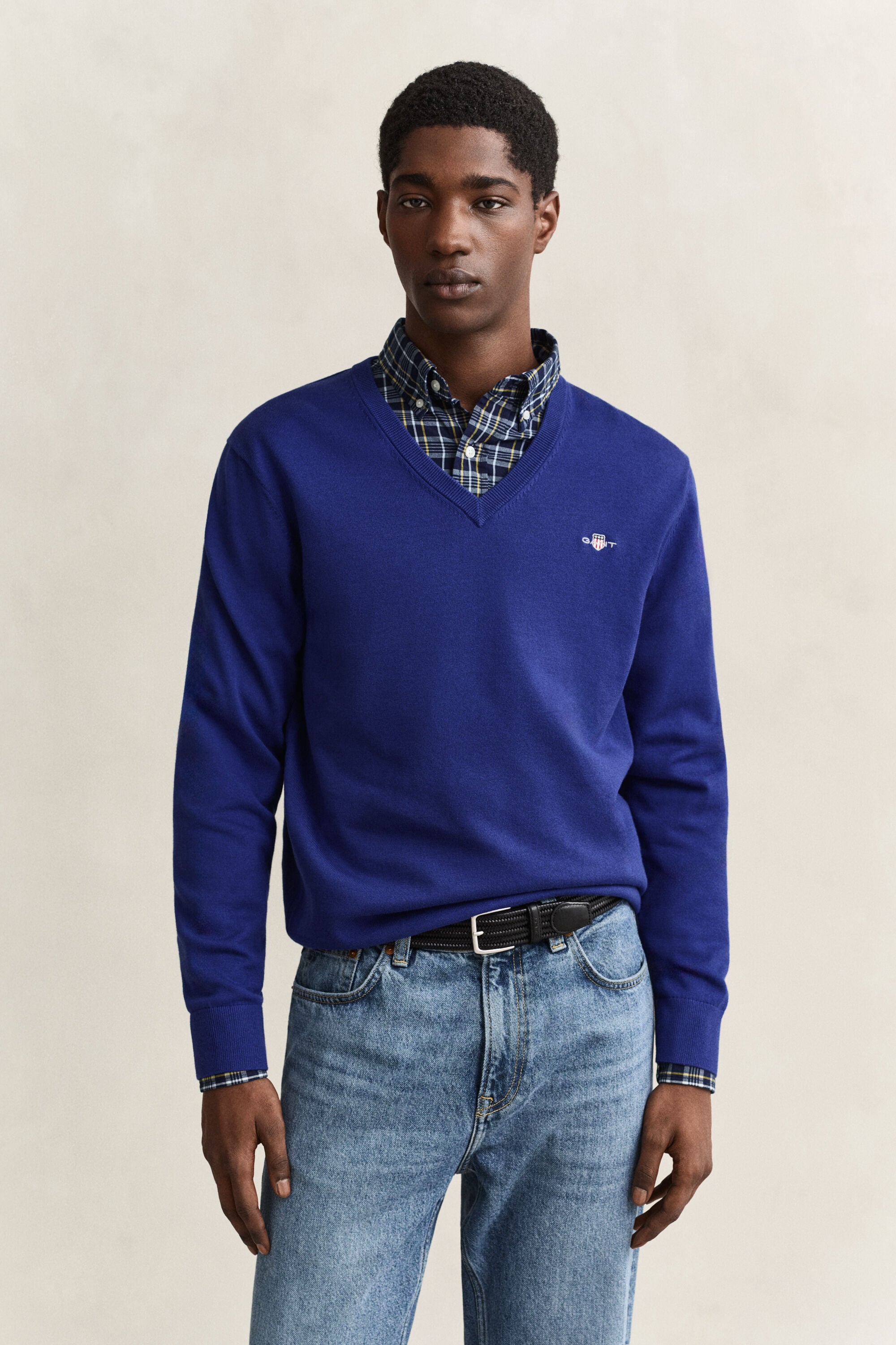 Klassiske sweater i bomuld med V-hals